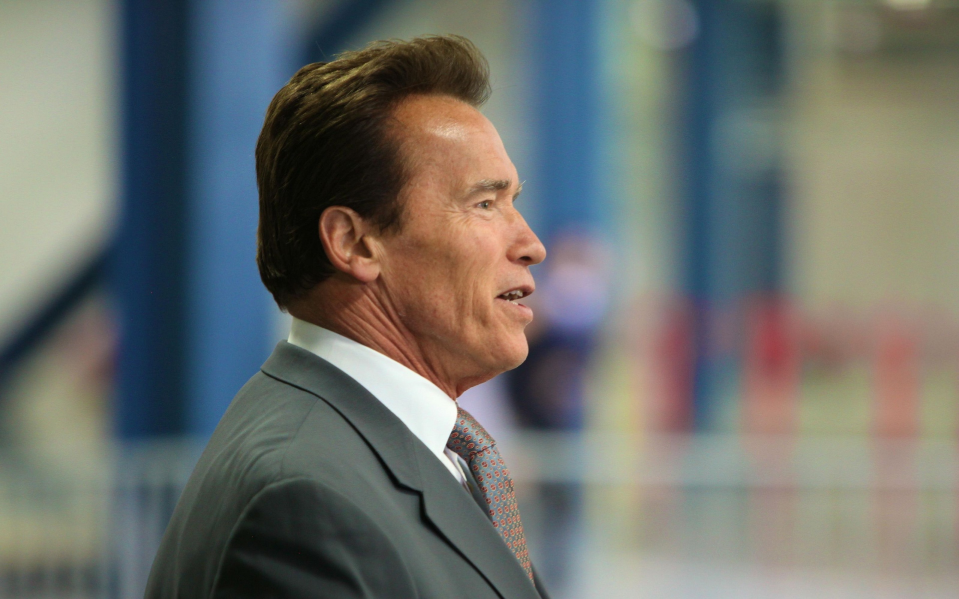 Картинки Arnold schwarzenegger, брюнетка, пальто, голливуд, знаменитость фото и обои на рабочий стол