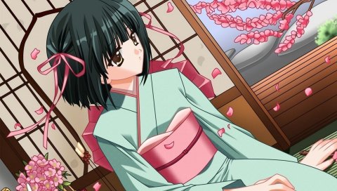 Сердолик, ночной демон, ryuujou mashiro, девушка, брюнетка, кимоно, лепестки