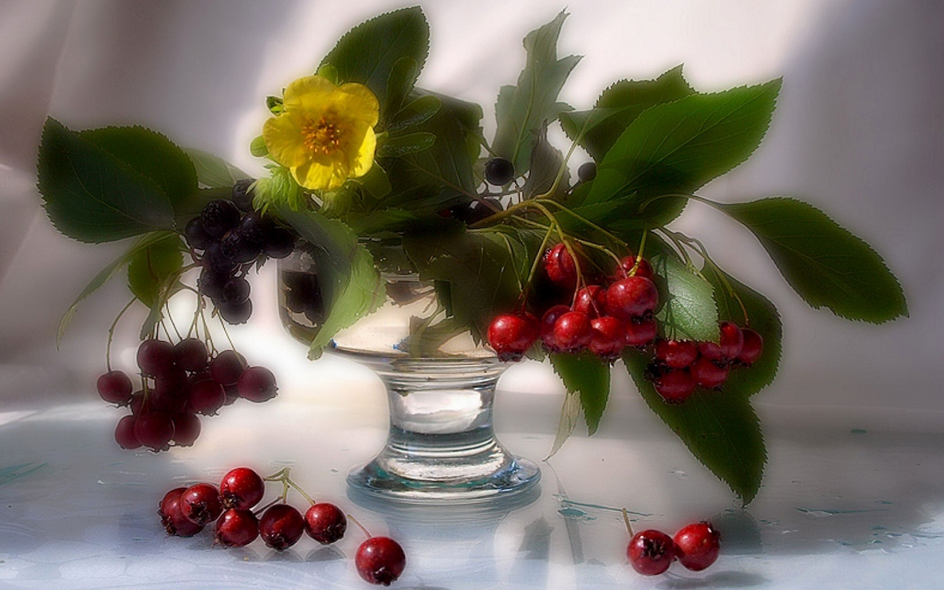Картинки Цветы, веточки, ягоды, рябина, травы, пиала фото и обои на рабочий стол