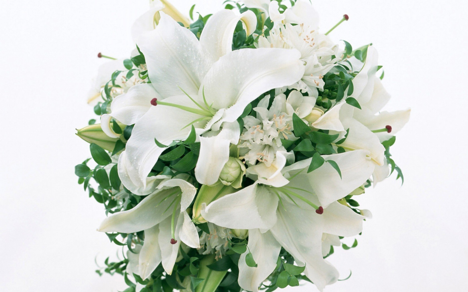 Картинки Лилии, цветы, букет, белый, зеленый фото и обои на рабочий стол
