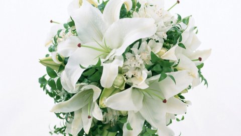 Лилии, цветы, букет, белый, зеленый