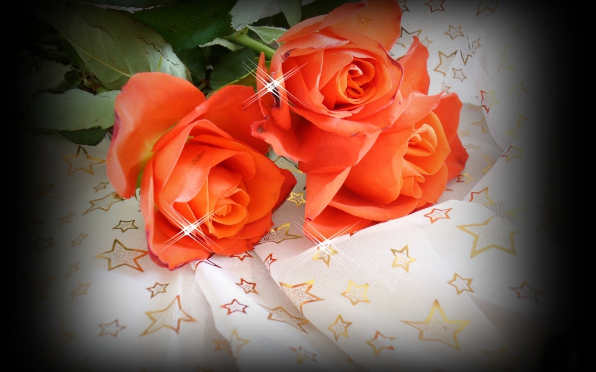 Картинки Розы, цветы, три, блеск, звезды, ткани фото и обои на рабочий стол