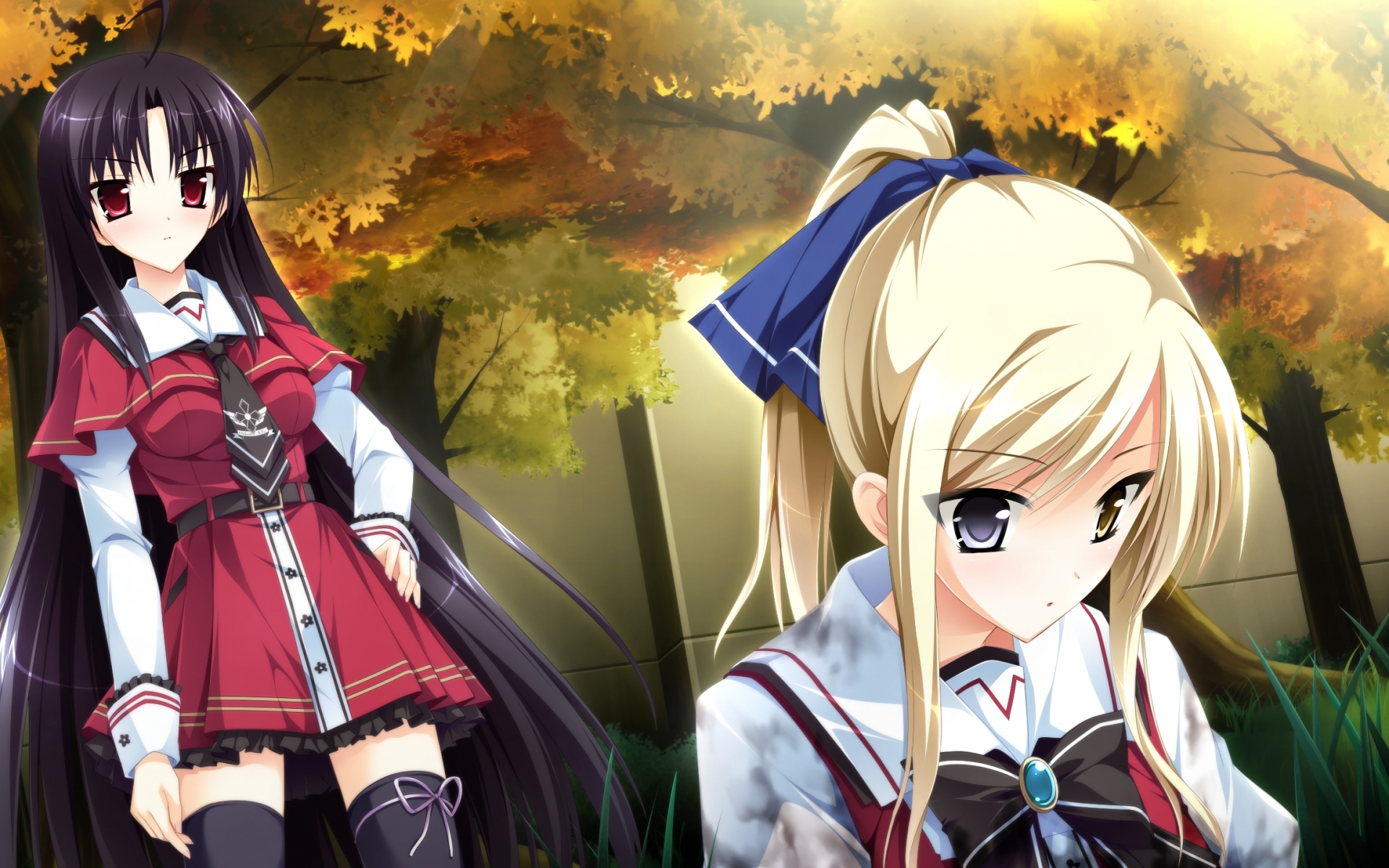Картинки Kimishima ao, otome ga tsumugu koi no canvas, shishidou chiharu, девушка, листья, парк фото и обои на рабочий стол