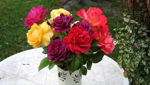 Розы, цветы, букет, ваза, стол, красота