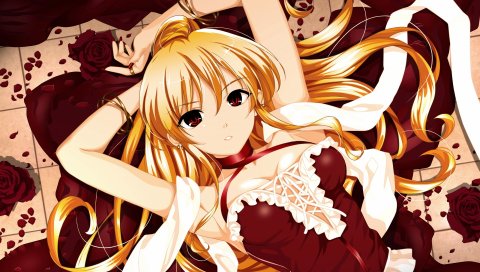 Boku to kanojo ni furu yoru, роман, девушка, блондинка, роза, цветы