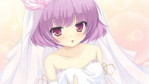 Mizu no miyako no patisserie, девушка, платье, невеста, вуаль