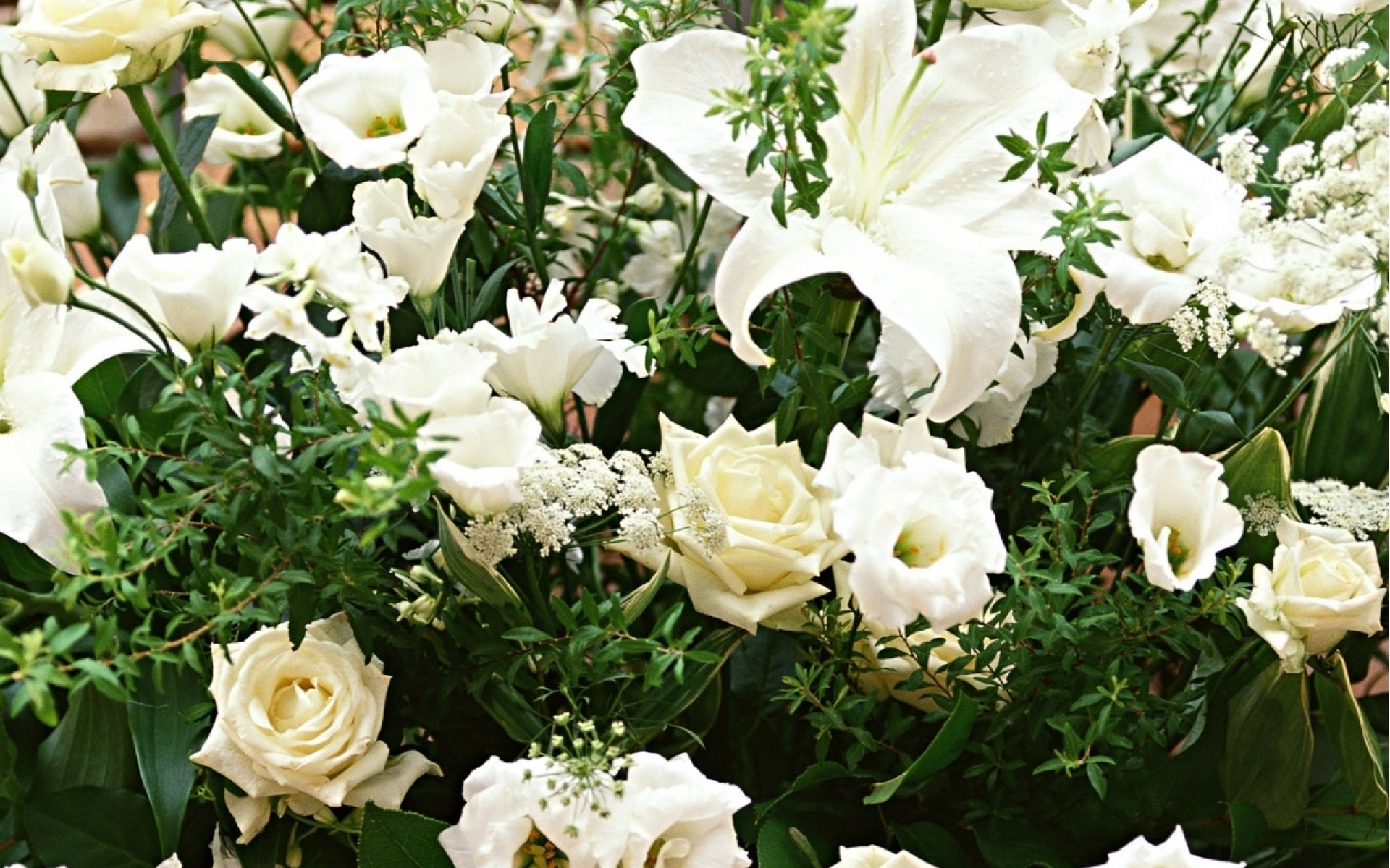 Цветы живые белые