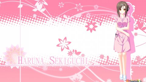 Tenmaso, maikaze no melt, sekiguchi haruna, девушка, брюнетка, милый