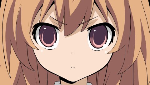 Toradora, aisaka taiga, девушка, взгляд, строгий, челка