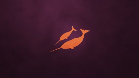 Ubuntu, os, orange, animal