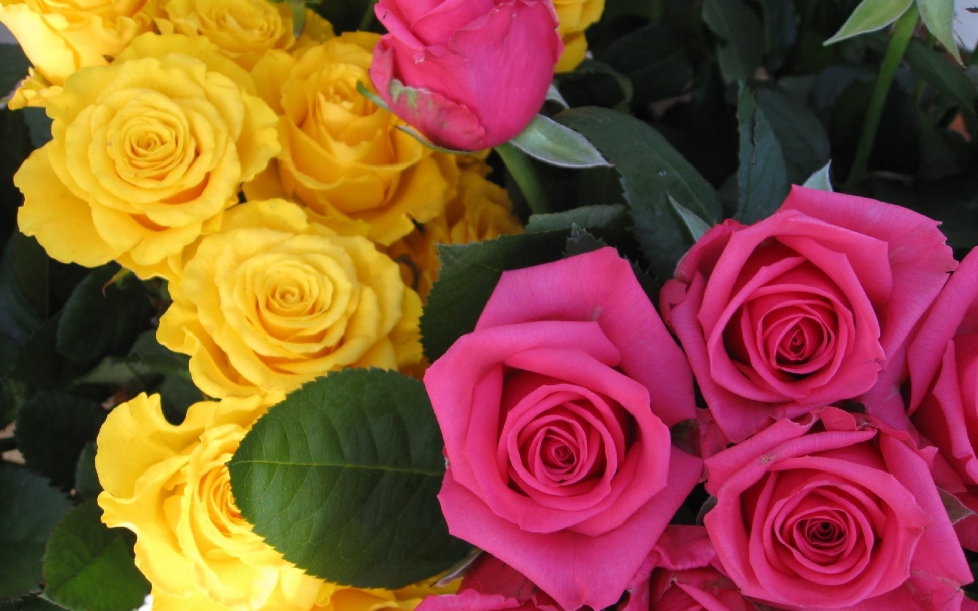 Красивый букет желтых роз фото