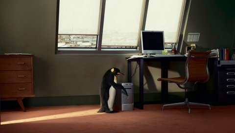 Linux, os, home, penguin, компьютер, стол
