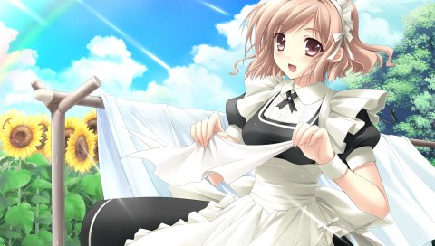 Higa yukar, yosuga no sora, nogisaka motoka, девушка, белье, подсолнухи, улица