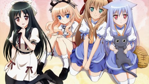 Майои neko overrun, serizawa fumino, umenomori chise, nozomi kiriya, девушка, кошки, поза