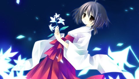Amatsume akira, девушка, брюнетка, кимоно, цветок