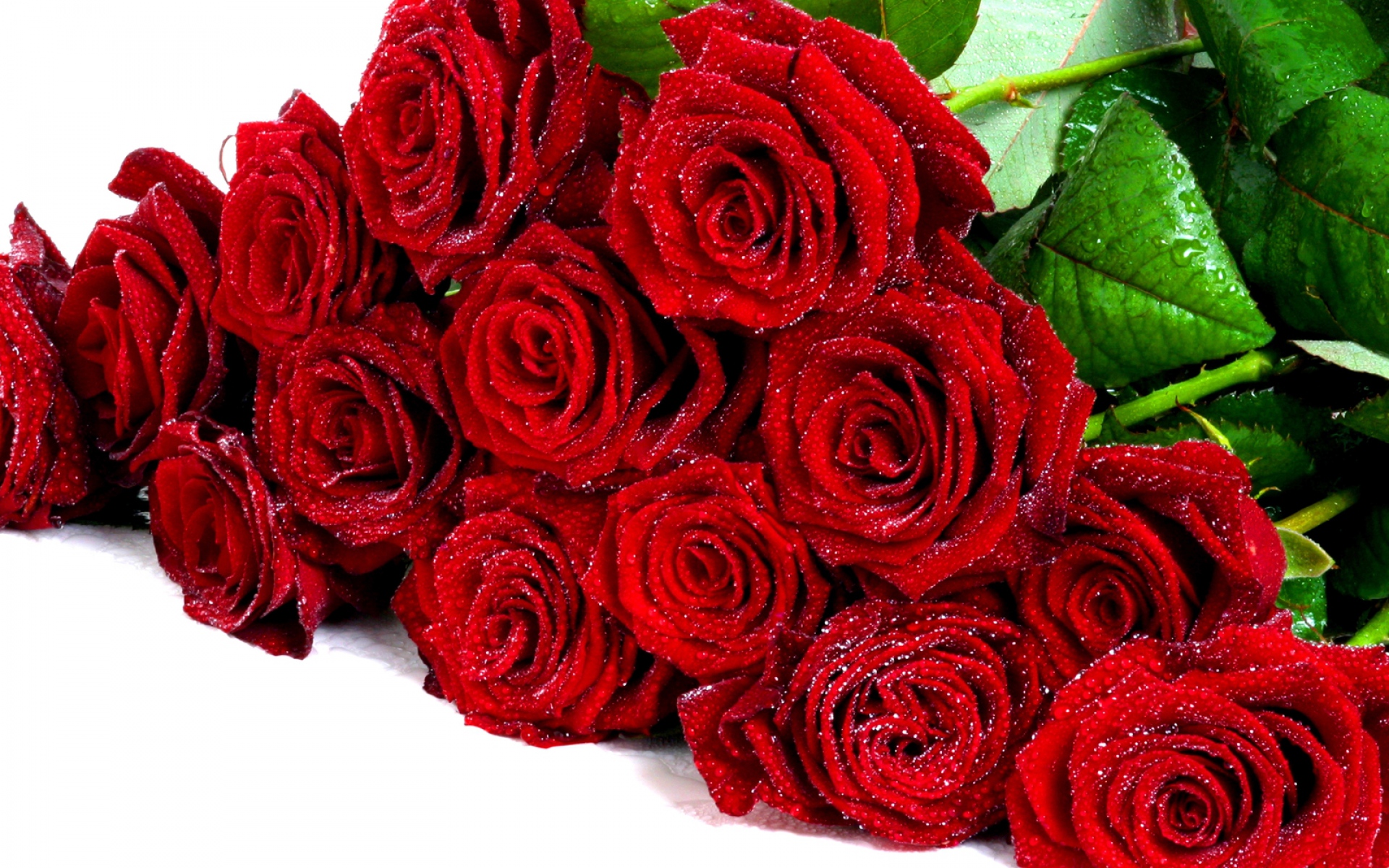 Картинки Розы, цветы, букет, красный, элегантный, капли фото и обои на рабочий стол