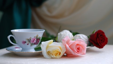 Розы, цветы, чай, зефир, романтика