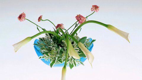 Цветы, аранжировка, ваза