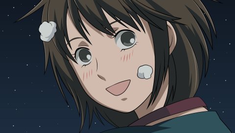 Nodame cantabile, нода мегами, девушка, брюнетка, радость, ночь, звезда