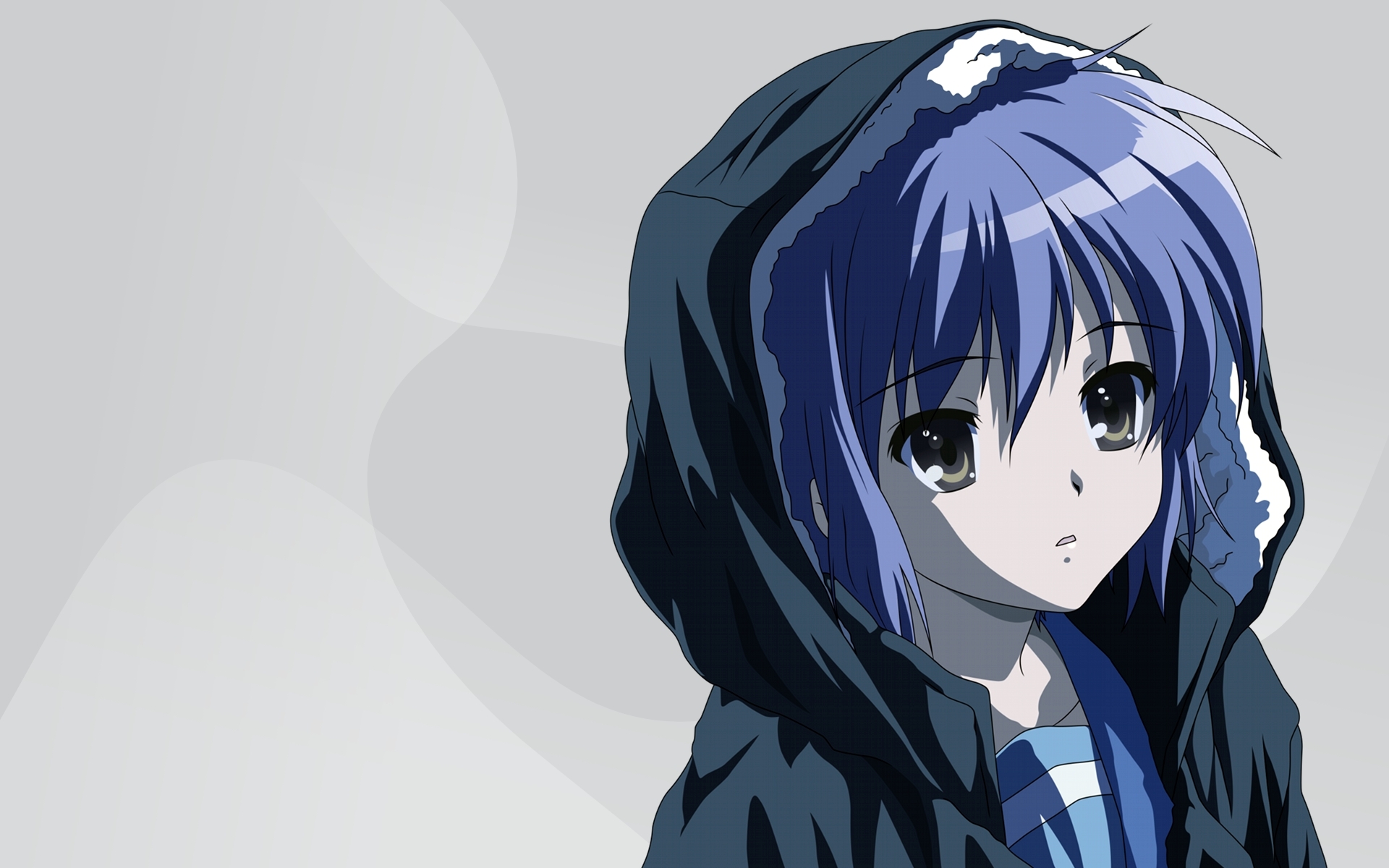Картинки Suzumiya haruhi no yuutsu, nagato yuki, girl, hood, bangs фото и обои на рабочий стол