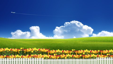 Спокойствие, тюльпаны, забор, самолет, облака