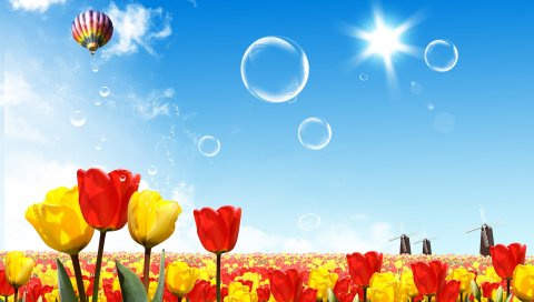 Тюльпаны, солнце, небо, воздушный шар