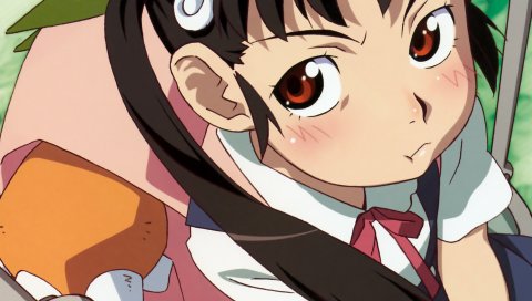 Bakemonogatari, hachikuji mayoi, девушка, щеки, большие глаза