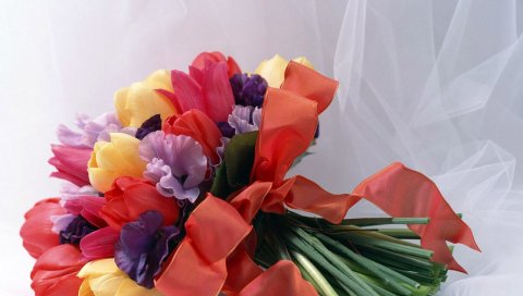 Тюльпаны, цветы, цветок, лента, лук, ткань