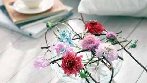 Цветы, ветки, плетение, бутоны, стекло, чай, эксклюзивные