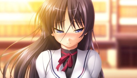 Ozawa akifumi, chu x chu paradise, takamachi yukino, девушка, брюнетка, слезы