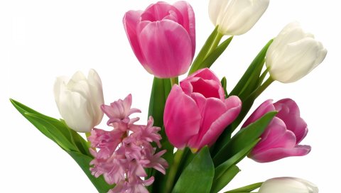 Тюльпаны, гиацинты, цветы, букет, весна