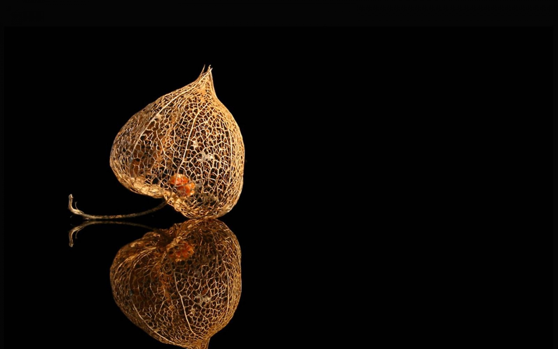 Картинки Physalis, коробка, отражение, фон фото и обои на рабочий стол