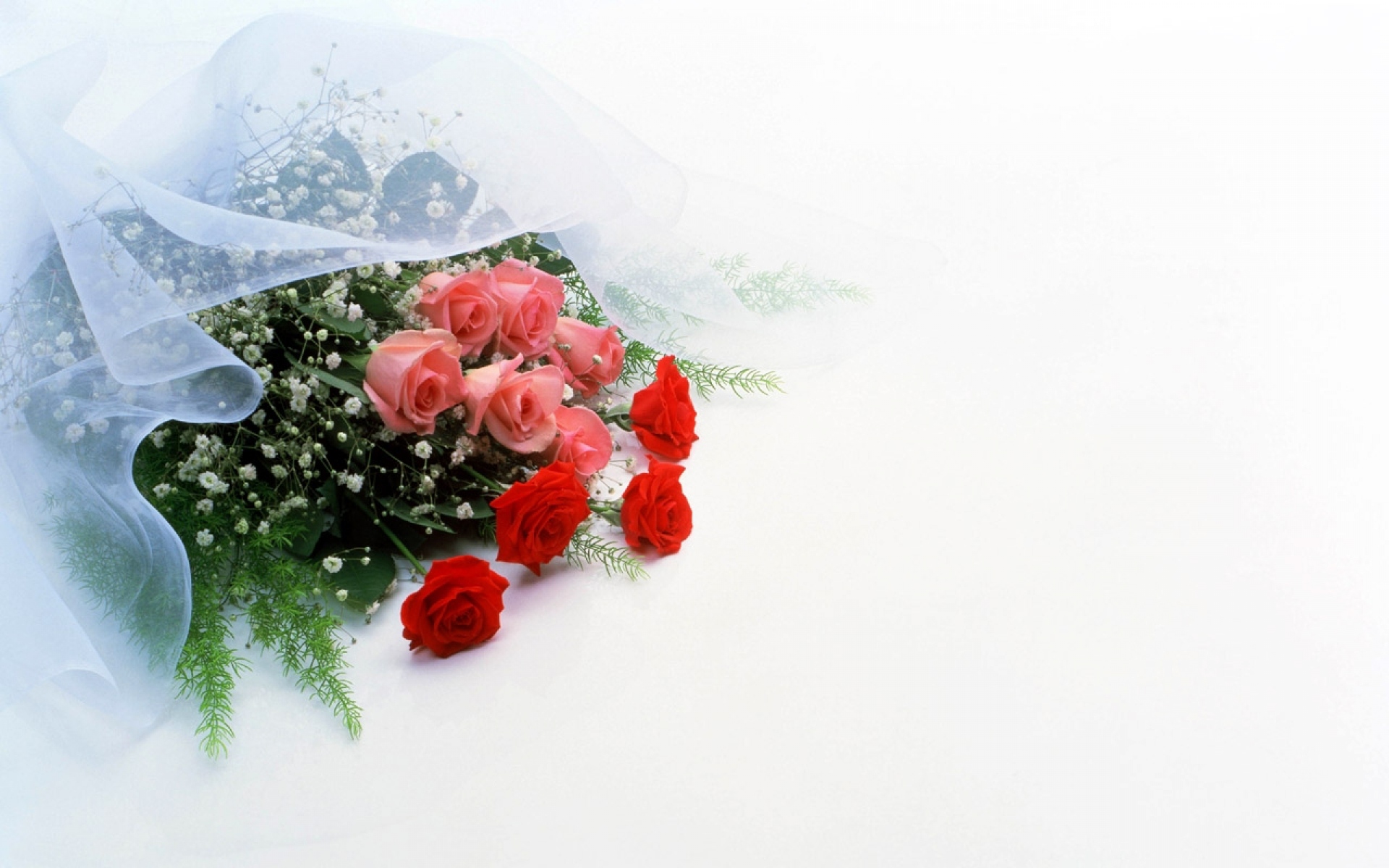 Картинки Розы, цветы, гипсофила, цветок, украшение фото и обои на рабочий стол