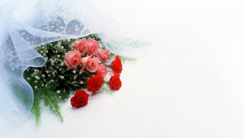Розы, цветы, гипсофила, цветок, украшение