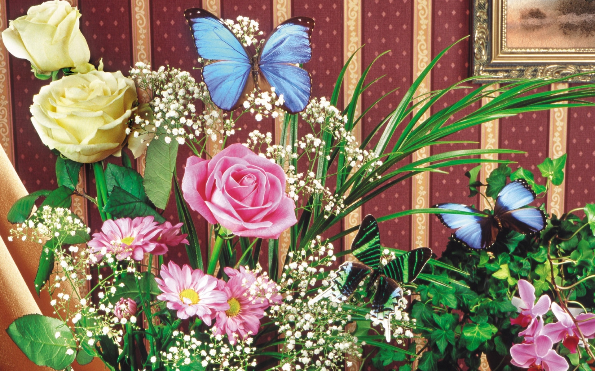 Картинки Розы, гипсофила, орхидеи, цветок, трава, бабочка, фотография фото и обои на рабочий стол