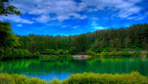 Озеро, живописные, цвета, зеленый
