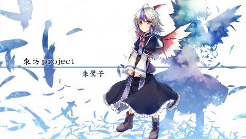 Kaiho, touhou, девушка, крылья, тень