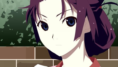 Bakemonogatari, senjougahara hitagi, девушка, брюнетка, глаза, фон
