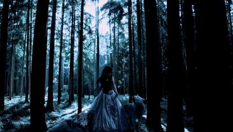 Девушка, лес, волки, платье, серый