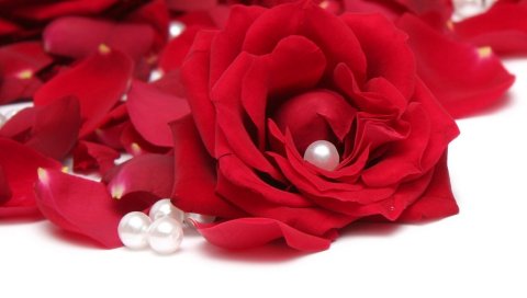 Сердце, скелет, интерьеры, музыка, труба, кость, крылья, смерть