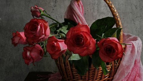 Розы, цветы, листья, мусор, палантин, стол, стена