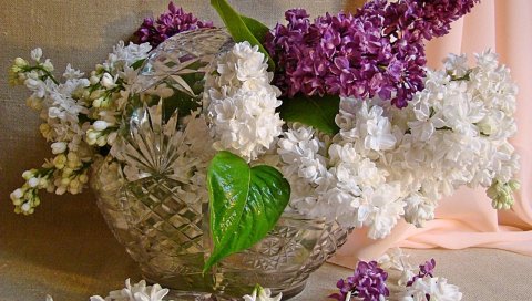 Сирень, букет, ваза, хрусталь, весна, лепестки