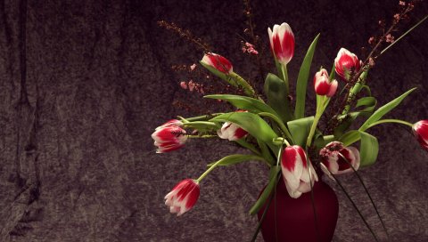 Тюльпаны, красочные, цветы, ваза, цветок, песня