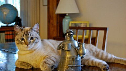 Кошка, ложь, статуя, стол, игривый
