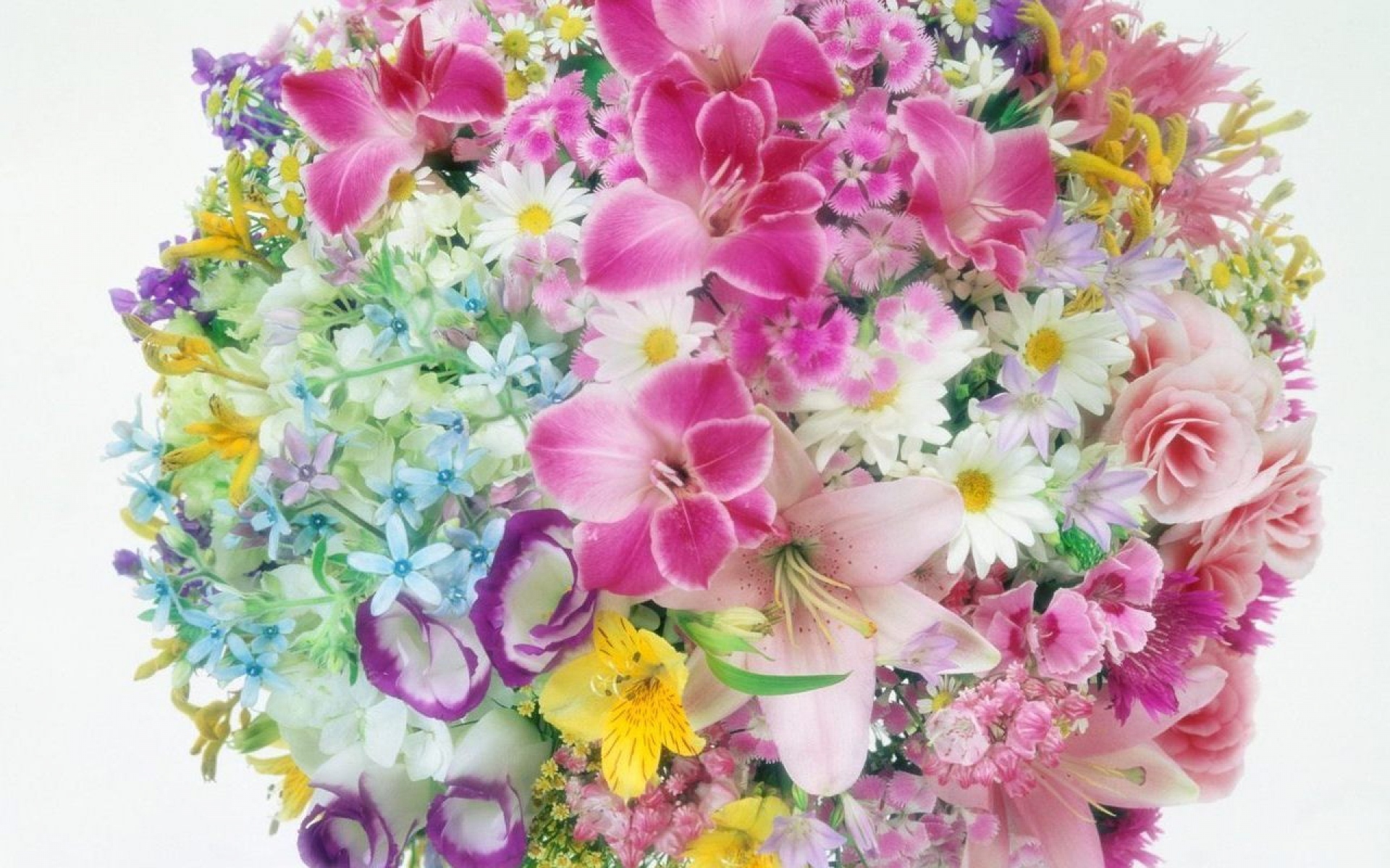 Картинки Лилии, розы, гвоздики, ромашки, цветы, букеты, воздушный шар, нежность фото и обои на рабочий стол