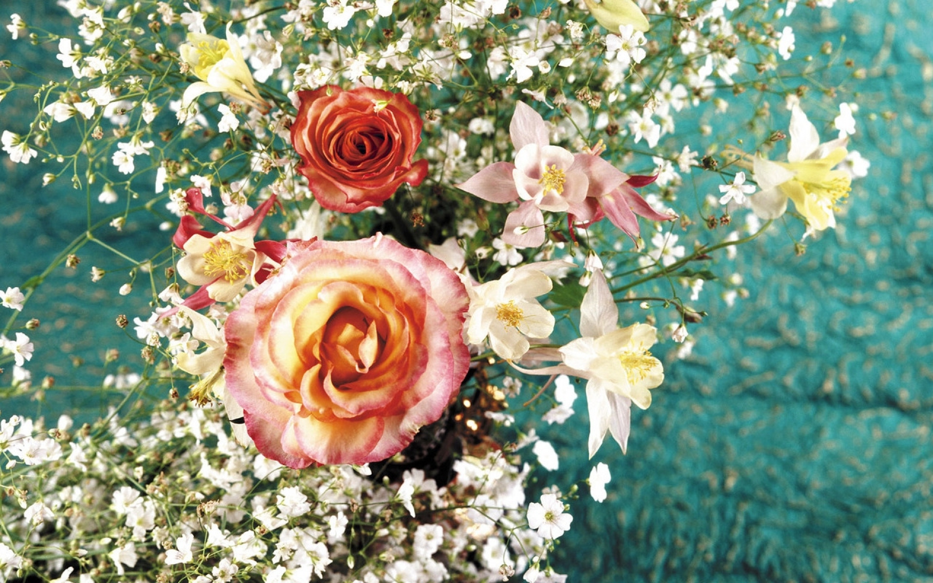 Картинки Розы, цветы, песня, красота фото и обои на рабочий стол