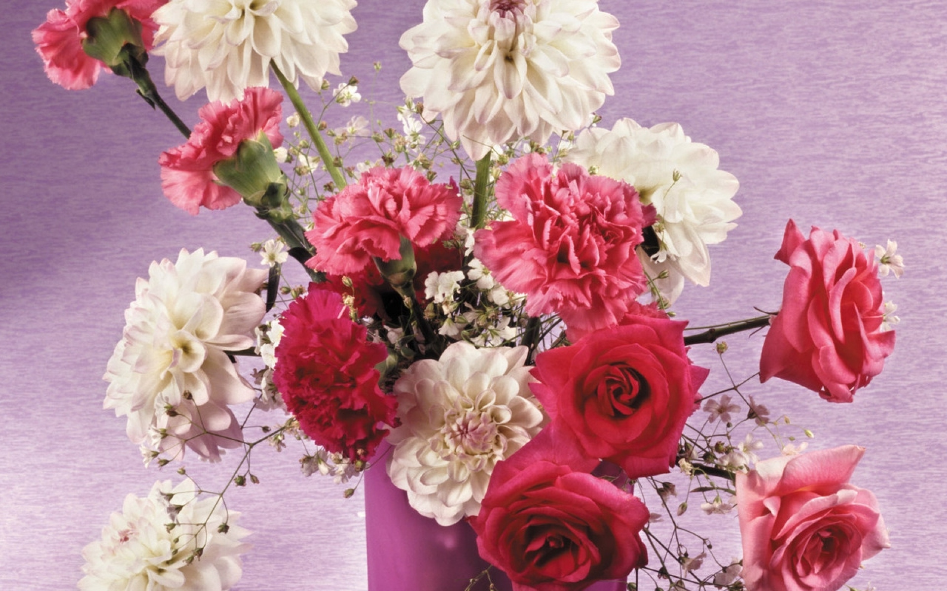 Картинки Розы, георгины, гвоздики, цветы, букет, ваза, красота фото и обои на рабочий стол