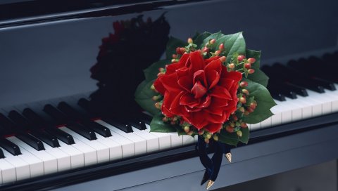 Цветок, лист, дизайн, струнные, фортепиано
