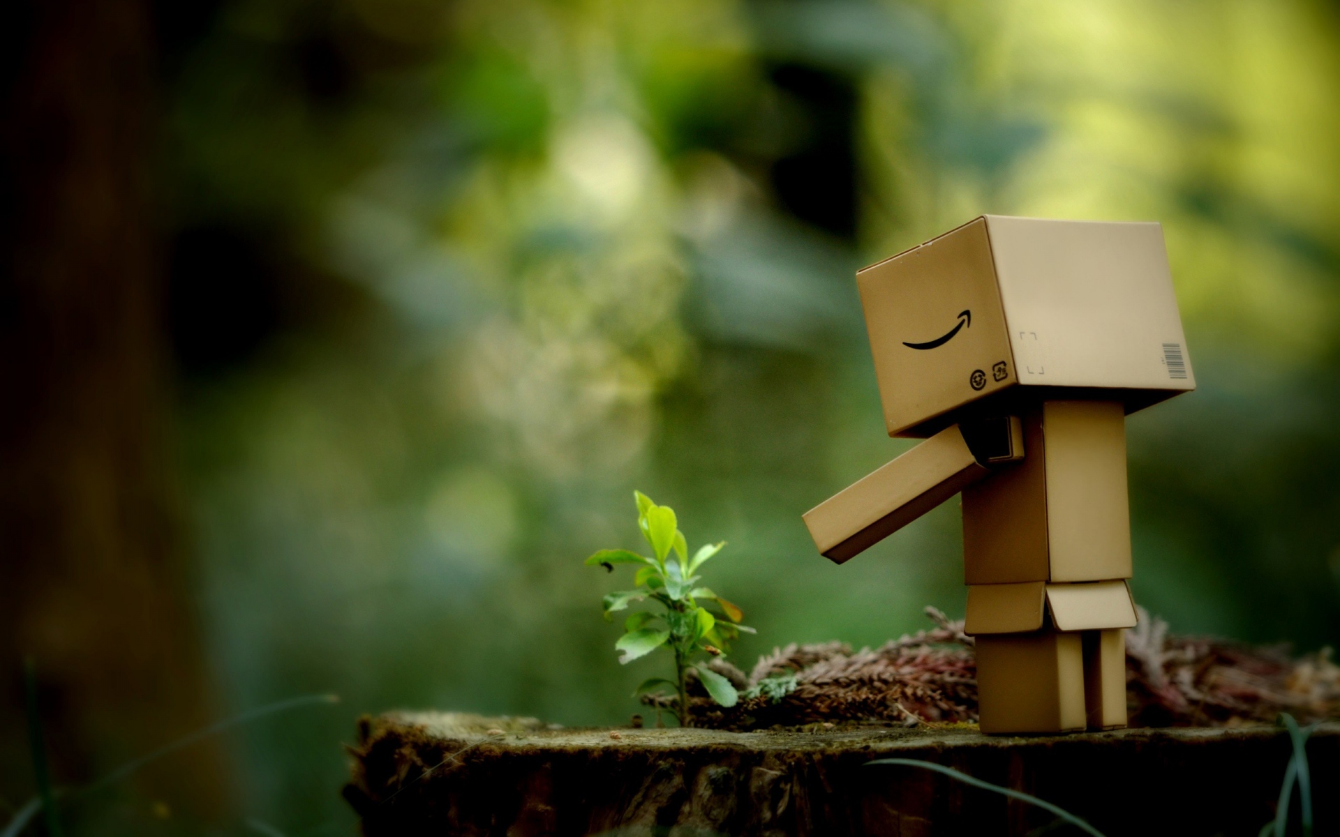 Картинки Danboard, прогулка, коробка, игрушка фото и обои на рабочий стол
