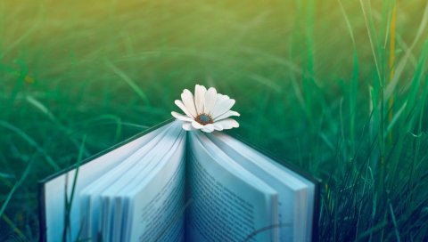 Книга, настроение, природа, трава, цветы